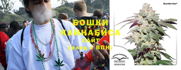 стаф Володарск