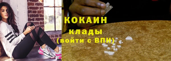 стаф Володарск